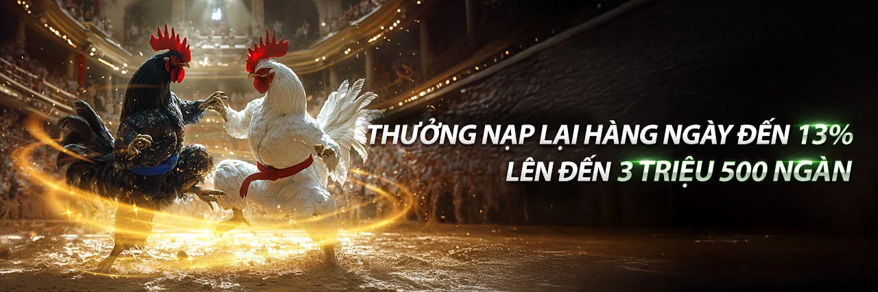 Hình ảnh đá gà trực tiếp kịch tính